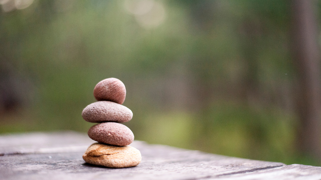 Holistic Transformation